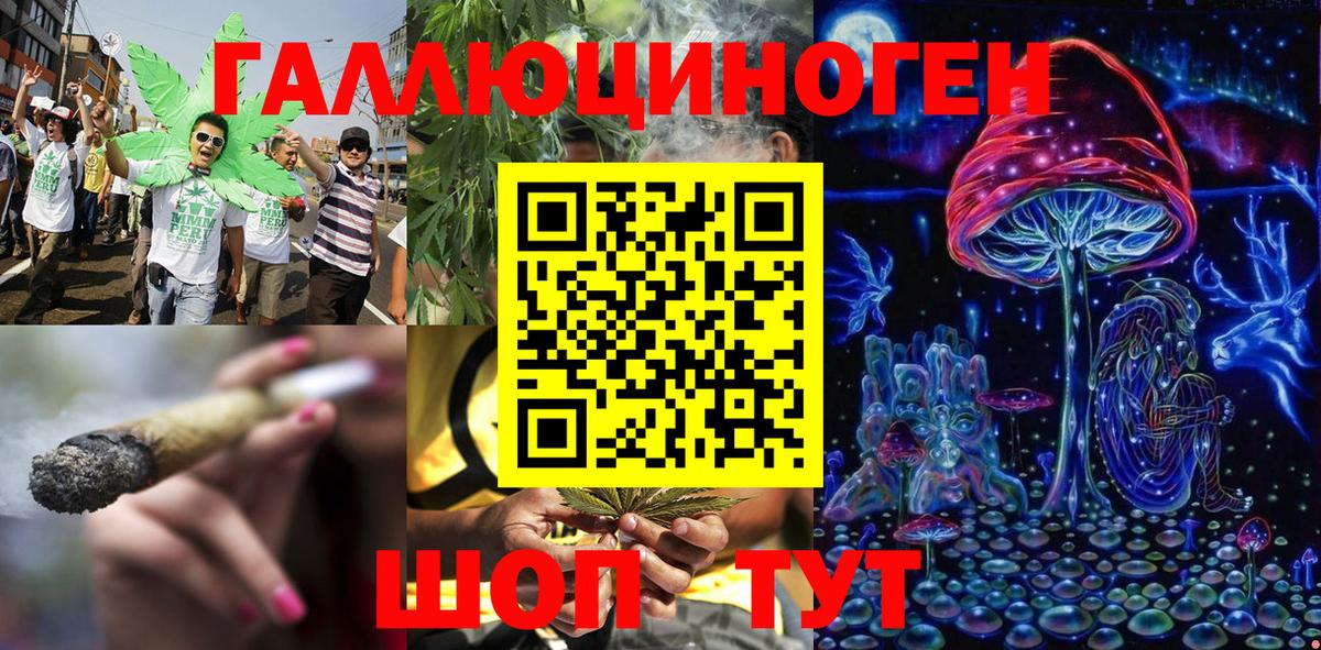 Галлюциногенные грибы Psilocybe  Галлюциногенные грибы MAGIC MUSHROOMS  Вход с VPN  Новошахтинск 